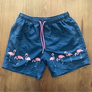 Men's Flamingo Print Swim Board Shorts